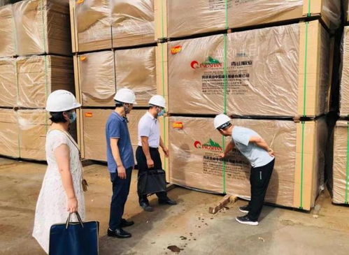 崇左市市場監管局深入實施四大戰略，全面提升家具生產質量水平